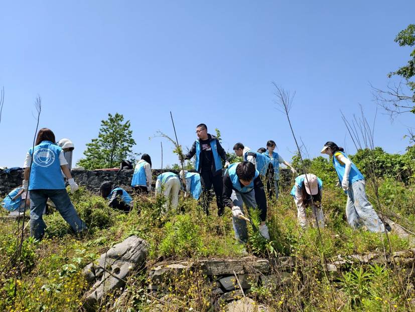 yl23411员工在石漠化严重的撂荒地开展劳动2